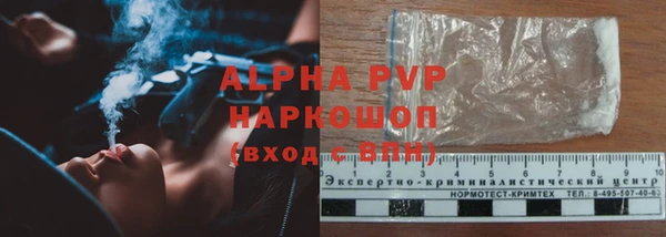 spice Абаза