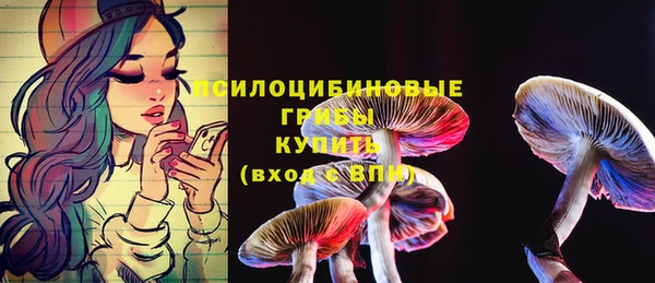 синтетический гашиш Осташков