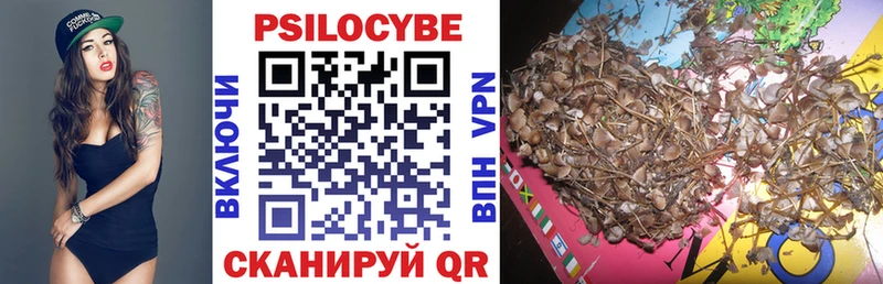 Галлюциногенные грибы Psilocybe продажа наркотиков Алагир